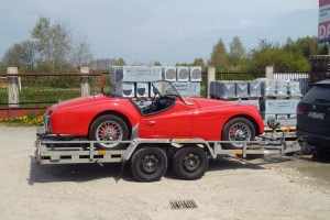 Triumph TR3A